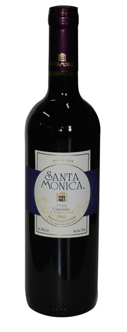 Wine bottle photo - 2006 Carmenere