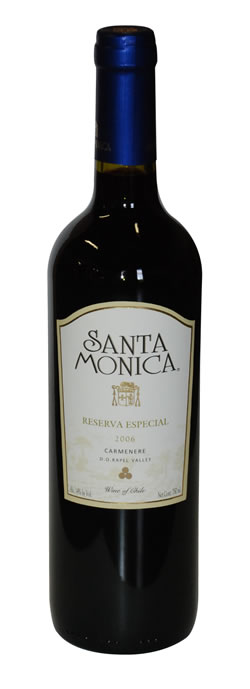 Wine bottle photo - 2006 Carmenere